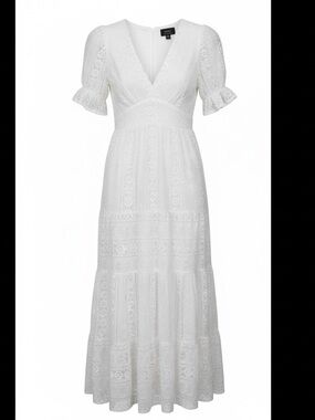 Vici | Dresses | Vici Embroidered Mesh Maxi Dress | Poshmark